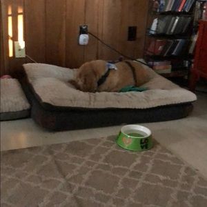 Meet your Posher, Howard